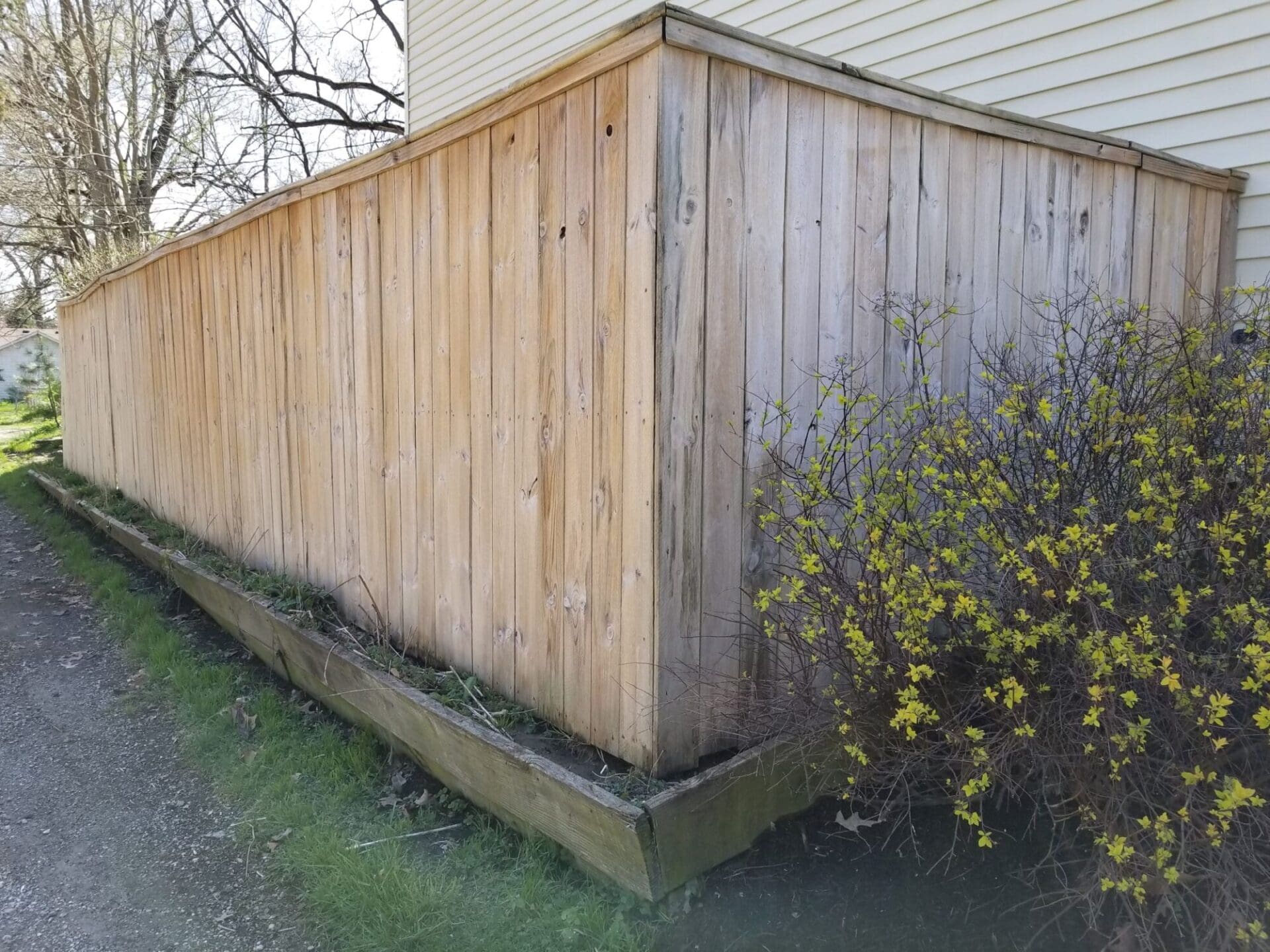 Clean Wood Fence